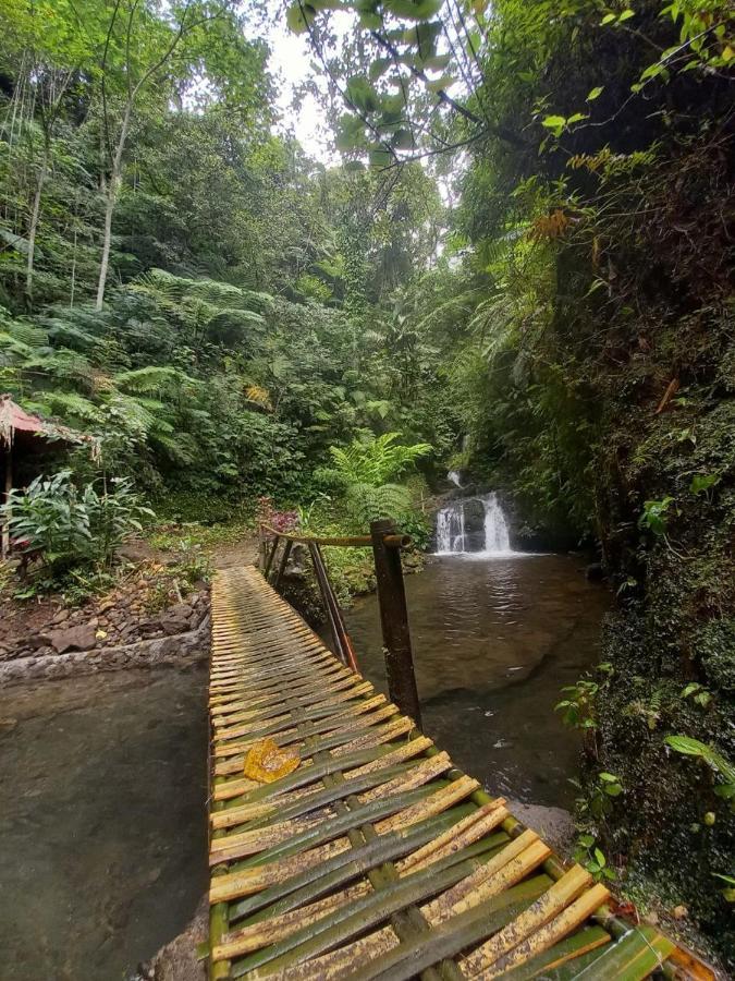 Munduk Tutub Waterfall View Екстериор снимка