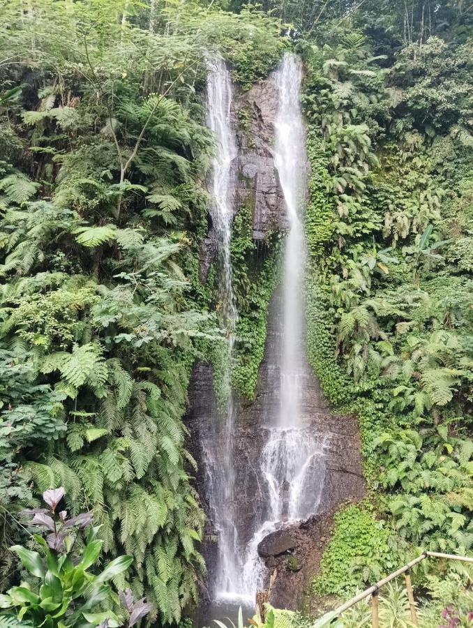 Munduk Tutub Waterfall View Екстериор снимка
